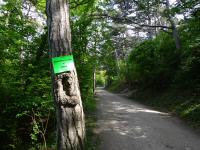 Blick auf die Wanderstrecke mit der Info-/Anzeigetafel 