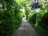  Wanderroute auf dem Schiestttenweg 