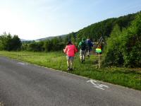 Blick zur Streckenteilung 22/42 km beim Steg ber den Stssingbach 