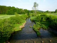  Blick auf den Stssingbach flussabwrts 