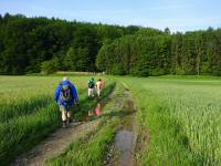  Blick auf die Wanderstrecke 