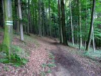  Wanderroute durch den bewaldeten Hummelberg 