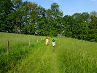 Wanderroute entlang der 2. Wiener Hochquellenleitung 