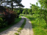  Blick auf die Wanderstrecke in Farafeld 