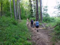  Wanderroute auf den Kronberg 