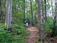  Wanderroute auf den Kronberg 