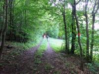  Wanderroute zur Streusiedlung Kronberg 