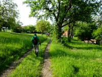  Wanderroute bei der Streusiedlung Kronberg 