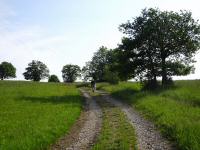  Wanderroute auf den Hegerberg 