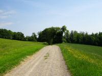  Blick auf die Wanderstrecke 