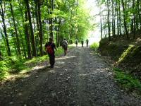  Blick auf die Wanderstrecke 