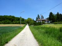 Blick auf die Wanderstrecke in St. Peter am Anger 