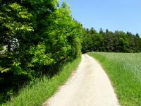  Blick auf die Wanderstrecke 