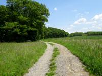  Blick auf die Wanderstrecke am Eichbergfeld