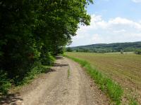  Blick auf die Wanderstrecke am Eichbergfeld 