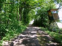 Blick auf die Wanderstrecke in der Nhe des Gehfts Obertheil