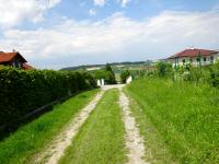  Blick auf die Wanderstrecke in Neukirchstetten 