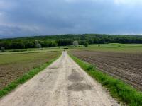 Blick auf die Wanderstrecke und zu den Gewitterwolken im Sden