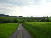  Blick auf die Wanderstrecke Richtung Haidhof 