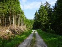  Blick auf die Wanderstrecke 