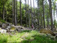  Wanderroute zum Mnichreither Stein 