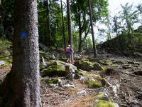  Wanderroute zum Mnichreither Stein 