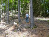  Blick auf die Wanderstrecke 