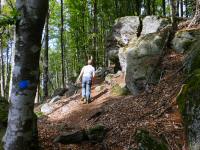  Blick auf die Wanderstrecke 