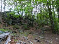  Wanderweg zum Gipfelkreuz am "Kleinen Peilstein" 