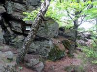  Wanderweg zum Gipfelkreuz am "Kleinen Peilstein" 