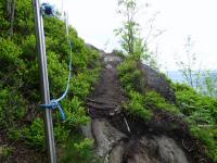  Wanderweg zum Gipfelkreuz am "Kleinen Peilstein" 