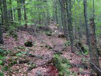  Wanderroute zum "Groen Peilstein" 