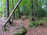  Wanderroute zum "Groen Peilstein" 