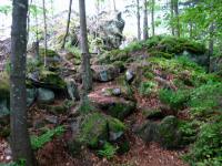  Wanderroute zum "Groen Peilstein" 