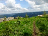  auf dem Plateau des Groen Peilstein 1061 m 