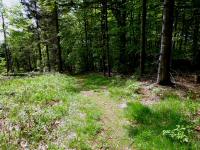  Blick auf die Wanderstrecke vom Groem Peilstein 