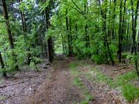  Blick auf die Wanderstrecke vom Groem Peilstein 