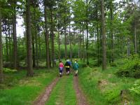  Blick auf die Wanderstrecke 