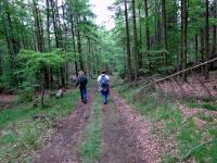  Blick auf die Wanderstrecke 