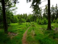  Blick auf die Wanderstrecke 