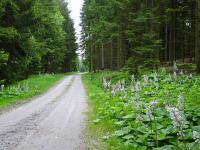  Blick auf die Wanderstrecke 