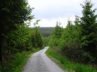  Blick auf die Wanderstrecke 