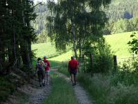  Blick auf die Wanderstrecke 