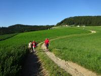  Blick auf die Wanderstrecke 