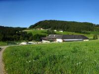  Blick auf die Wanderstrecke beim Gehft Nasinger 