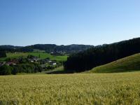  schner Fernblick nach Edt und weiter nach Gutau 