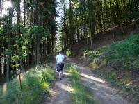  Blick auf die Wanderstrecke 