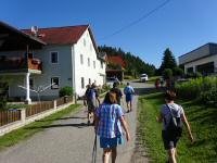  Blick auf die Wanderstrecke in Hundsdorf 