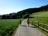  Blick auf die Wanderstrecke 