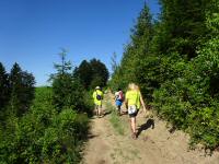  Blick auf die Wanderstrecke am Guttenbrunner Berg 